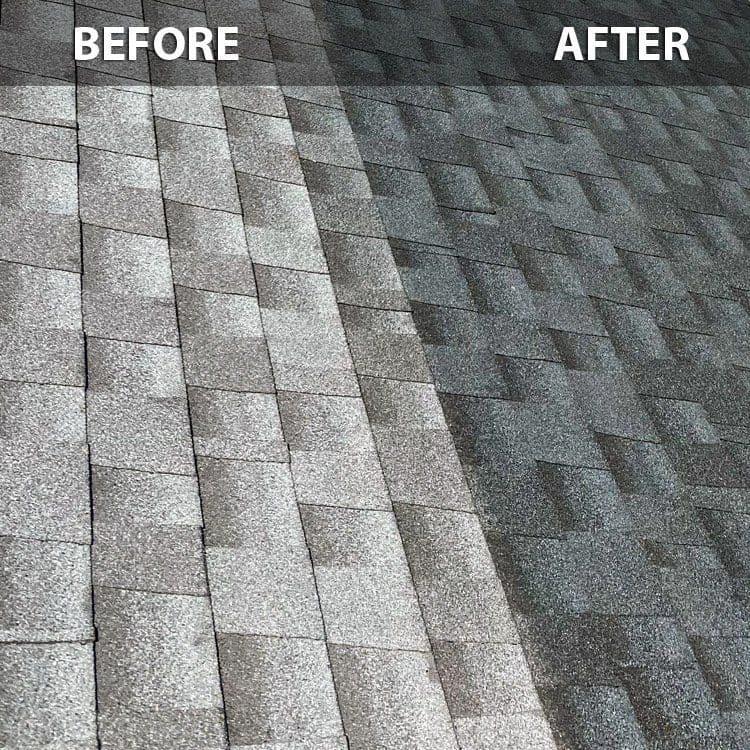 Roof-Preservation